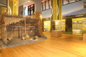 Isernia – Museo del Paleolitico – Museo nazionale del Paleolitico – ampliamento allestimento museale
