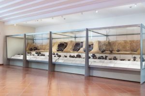 8.1 Riorganizzazione del percorso espositivo complessivo del Museo Nazionale Romano