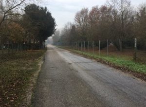 6.24 Percorso ciclabile del Bosco della Mesola