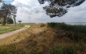 6.30 Potenziamento del sistema di visita della stazione pineta di San Vitale e Pialasse di Ravenna